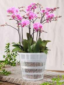 Hydroponic Planter, White Plastic Planting Cup, Reusable Seedling Starter Tray, Suitable For Orchids, Tomatoes, Peppers, Basil, Cilantro And Herbs - Durable And Convenient Growing Medium - Multicolor - View 4