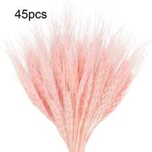 蒲苇装饰组合套装、干兔尾草花束、蒲苇和桉树、波西米亚风格桌面和地板中心装饰 - 干花插花、秋草和橄榄绿墙壁装饰（多种款式）、秋季装饰、秋季 - 棕色 - 查看 13