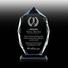 1件个性化员工退休感谢奖、奖章、毕业奖、水晶奖、奖品、刻字奖杯、奖牌、员工奖、家具美学 - 彩色 - 查看 2
