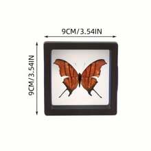 20pcs Plastic 3D Floating Display Frame, Jewelry, Coins & Collectibles Display Box, Transparent Packaging, Suitable For Craft Exhibitions, Home Decor And Beading Supplies