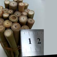 20PCS Vine Plant Support Stake, Garden Climbing Trellis Stakes,Coutyard Fence DIY Ground Insertion Fence For Lawn, Vegetable Plot & Landscape Partition, Easy Install With Aesthetic Design, Outdoor Decoration & Gardening Essentials, Lawn Divider, Rustic Decorative Fencing,Home Gardeners Pole Suitable For Garden Vegetables, Fruits, Flowers Growth Climbing(Root Diamter 6-12mm)