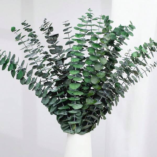 10/20 peças de hastes de eucalipto azul preservadas - 17" de eucalipto pendurado para chuveiro, folhas verdes para decoração de casa boho chique, primavera, dia dos namorados e arranjos