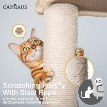 Local Delivery-CAPHAUS Tall Climbing Modern Indoor Play Tower For Large Cats Kittens, 70-Inch With Top Perch, Cat Cave Condo, Cat Tree W Hammock, Multi-Level Cat Activity Tree W Cute Scratching Posts - 米色 - 查看 5