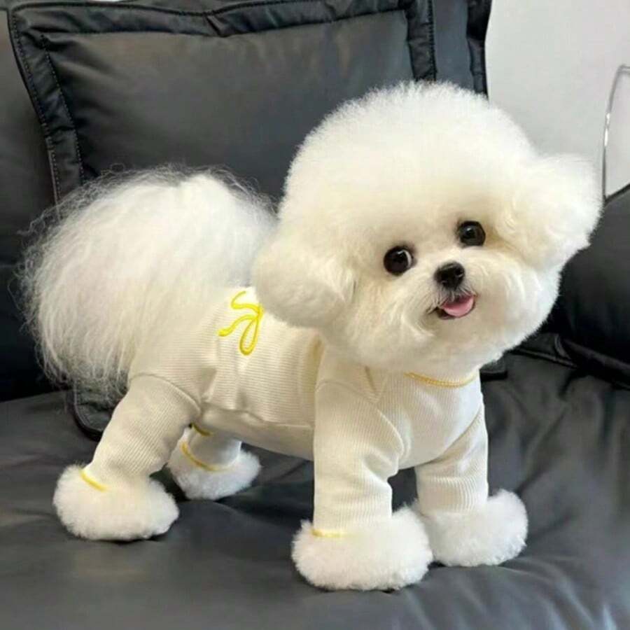 宠物瘦肚衫狗/猫夏季服装,适合贵宾犬、泰迪犬、比熊犬等小型犬 - 黃色 - 查看 1