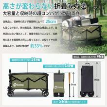 Garden Carts