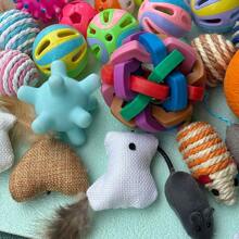 7/16/25 Stücke/Set optional Haustier Spielzeug Set, Katzenneckspielzeug Set, Stimme Neckspielzeug, geeignet für Katzen zum Interagieren und Spielen drinnen und draußen