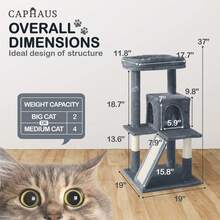 Local Delivery-CAPHAUS Tall Climbing Modern Indoor Play Tower For Large Cats Kittens, 70-Inch With Top Perch, Cat Cave Condo, Cat Tree W Hammock, Multi-Level Cat Activity Tree W Cute Scratching Posts - 煙灰色 - 查看 2
