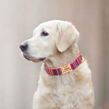 Collar personalizado para perros de nailon suave a rayas con placa de identificación grabada, collar de mascota ajustable y antiextravío