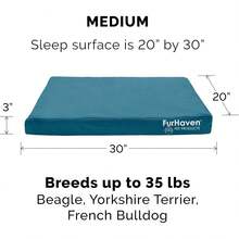 Local Delivery-Furhaven Water-Resistant Orthopedic Dog Bed For Large/Medium Dogs W/ Removable Washable Cover, For Dogs Up To 55 Lbs - Indoor/Outdoor Logo Print Oxford Polycanvas Mattress - Forest, Large - Water-Resistant Logo Print (Deep Lagoon) - View 2