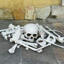 1pc Realistic Human Skeleton Prop, Horror Room Decor, Bar Haunted House Prank Display Artificial Skulls