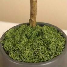 300g/10.58oz Simulated Foam Lawn, Artificial Foam Micro Landscape Landscaping, Green Plant Lawn, Potted Plant Window Decoration