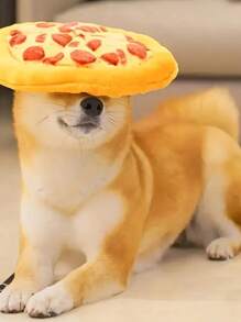 1PC Plush Dog Toys Doughnut Pizza Shape Pet Squeaky Toys For Small Large Dogs Cleaning Teeth Puppy Chew Toys Pet Supplies