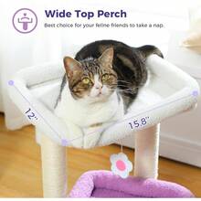 Local Delivery-PEQULTI Cat Tree Cat Tower For Indoor Cats With Private Cozy Cat Condo, Natural Sisal Scratching Posts And Plush Pom-Pom For Small Cats,Beige - Black - View 10