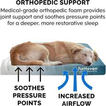 Local Delivery-Furhaven Water-Resistant Orthopedic Dog Bed For Large/Medium Dogs W/ Removable Washable Cover, For Dogs Up To 55 Lbs - Indoor/Outdoor Logo Print Oxford Polycanvas Mattress - Forest, Large - Water-Resistant Logo Print (Deep Lagoon) - View 5