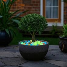 500 piezas de piedras de jardín luminosas, piedras brillantes de colores, para jardín, césped, patio, camino exterior, pasillo y decoración de acuario. Piedras luminosas perfectas para pecera, sendero, maceta, planta, entrada de automóviles, decoración del hogar, decoración navideña (estilo de color aleatorio)