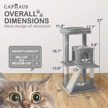 Local Delivery-CAPHAUS Tall Climbing Modern Indoor Play Tower For Large Cats Kittens, 70-Inch With Top Perch, Cat Cave Condo, Cat Tree W Hammock, Multi-Level Cat Activity Tree W Cute Scratching Posts - 淺灰色 - 查看 2