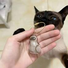 6 种款式透明猫毛收纳盒饰蛋玩具猫毛收纳胶囊蛋玩具袋钥匙扣吊坠纪念品，透明猫毛收纳盒吊坠扭蛋猫毛收纳，骨灰瓮项链，骨灰瓮项链，骨灰项链，狗钥匙扣，钥匙套，猫配件，宠物纪念品，狗纪念品，猫用品，爪印，猫必需品，宠物纪念品，（部分配件随机。） - 彩色 - 查看 6