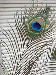 10根带眼睛的人造孔雀羽毛，适用于家居装饰、婚礼扇子、婚礼背景、装饰相框、蜡烛、闺蜜礼物、女士礼物、冬季礼物、家居装饰、婚礼装饰、工艺品 - 孔雀 - 查看 10