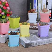 24 Pack Colorful Flower Pots Square Plastic Plant Pots Succulent Planter Nursery Pots With Saucers Your Room,Garden Office And Balcony Decor - Nhiều màu - Xem 5