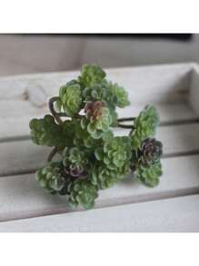 1pc Simulated Succulent Plant, Desktop Fake Bonsai, Desktop Miniature Model, Artificial Fake Stem Table Decoration, Landscape Crafts, Suitable For Sand Trays, Flower Pots, Micro Landscapes, Fairy Tale Gardens, Train Model Railways, Aquarium Decorations, Photo Props, Garden Courtyard Landscaping Decorations, Etc.