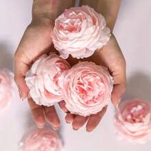 6/24 Pcs Artificial Peony Flowers For DIY Crafts, Wedding Decor, And Home Decor, Plastic Peony Flower Heads For Rome Decor, Garden Decor And Bedroom Decor, Perfect For Vases, Centerpieces, Wedding Party Decor And Graduation Decorations