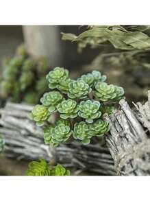 1pc Simulated Succulent Plant, Desktop Fake Bonsai, Desktop Miniature Model, Artificial Fake Stem Table Decoration, Landscape Crafts, Suitable For Sand Trays, Flower Pots, Micro Landscapes, Fairy Tale Gardens, Train Model Railways, Aquarium Decorations, Photo Props, Garden Courtyard Landscaping Decorations, Etc.