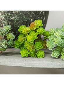 1pc Simulated Succulent Plant, Desktop Fake Bonsai, Desktop Miniature Model, Artificial Fake Stem Table Decoration, Landscape Crafts, Suitable For Sand Trays, Flower Pots, Micro Landscapes, Fairy Tale Gardens, Train Model Railways, Aquarium Decorations, Photo Props, Garden Courtyard Landscaping Decorations, Etc.