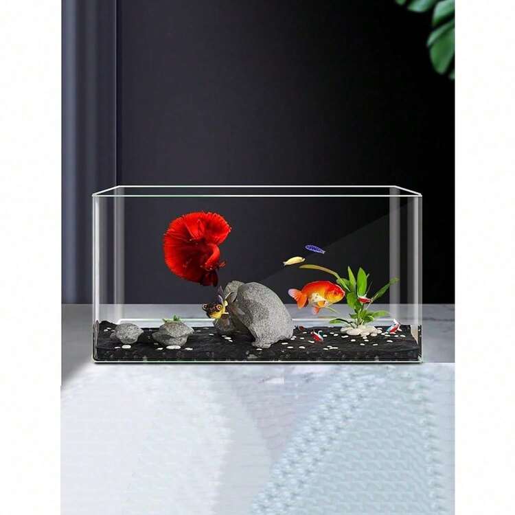 アクリル水槽　アクアリウム 金魚鉢 アクリル水槽 透明 メダカ 苔 アクアリウム 水草 飼育