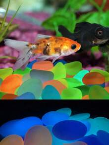 200/500 قطعة من الحجارة المضيئة في الظلام لديكور الحديقة، ديكور المناظر الطبيعية المصغرة والأحواض المائية، حجارة ممر الحديقة والفناء والمسار، حجارة زخرفية مضيئة DIY (حجارة مضيئة مصغرة 0.6-0.8 سم) - متعدد الألوان - مشاهدة 7