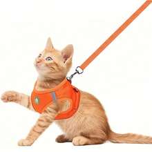 1 件套全新舒适宠物狗背带套装，带反光条，透气网眼胸带，带牵引绳，适合户外散步，多种颜色和尺寸，适合狗和猫 - 彩色 - 查看 10