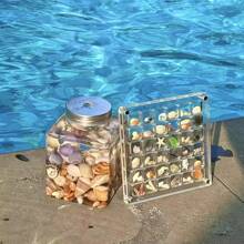 1pc 36-Slot Acrylic Square Clear Seashell Collection Box, Beach Theme Micro Stone Specimen Display, Tabletop Seashell Jewelry Storage Box, DIY Craft Gift Box For Holidays