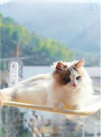 Cat Hammock, Cat Window Suction Cup, Cat Nest, Cat Climbing Frame, Suspended Balcony, Glass, Sun Drying, Small Pet Hammock