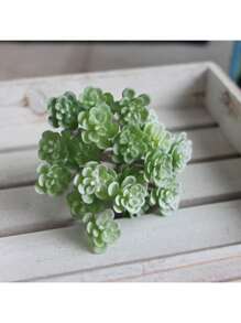 1pc Simulated Succulent Plant, Desktop Fake Bonsai, Desktop Miniature Model, Artificial Fake Stem Table Decoration, Landscape Crafts, Suitable For Sand Trays, Flower Pots, Micro Landscapes, Fairy Tale Gardens, Train Model Railways, Aquarium Decorations, Photo Props, Garden Courtyard Landscaping Decorations, Etc.