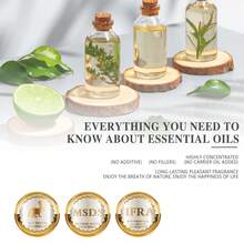 Eucalyptus Essential Oils 100% Pure & Natural Eucalyptus Essential Oil for Diffuser, Humidifier, Skin, Hair & Soap Making DIY(3.38 Fl Oz/100 ml) - 100 ml - Übersicht 7