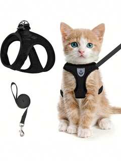 Animaux de compagnie 