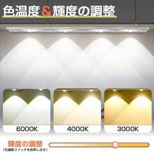 Headlight Bulbs