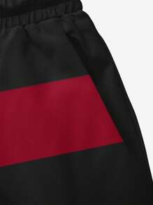 Men's Summer Printed Pattern Drawstring Waist Slant Pocket Hawaiian Quick-Dry Double-Layer Mesh Lining Shorts, Seagull Contrast Color 3D Print, Fashionable Casual Beach Resort Swim Trunks