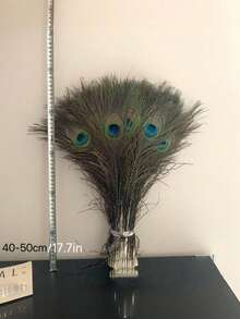 10根带眼睛的人造孔雀羽毛，适用于家居装饰、婚礼扇子、婚礼背景、装饰相框、蜡烛、闺蜜礼物、女士礼物、冬季礼物、家居装饰、婚礼装饰、工艺品 - 孔雀 - 查看 5
