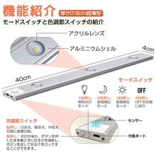 Headlight Bulbs