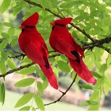 2/12pcs Simulation Bird Gardening Garden Christmas Decoration Red Bird Clip Feather Plush Cloth Crafts Art Fake Bird
