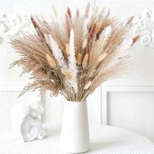 80pcs Premium Pampas Grass Decor - Natural Dried Rattan Flowers For Home, Event Decor, Wedding Centerpieces, Festive Seasons (, Halloween, Easter, Thanksgiving) Gifts Birthday Graduation,Fall Decor,Autumn - Multicolor - View 12