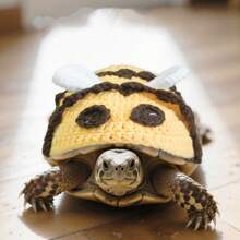 Neuankömmling 1 Stück Gestricktes Schildkröten Dekorative Kleidung, Kleine Bienen Kostüm Kleidung für Haustierpartys, dekorative Kleidung