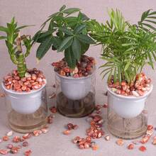 QYDCX طقم من الأحجار الكريمة المصقولة والحصى والبلورات بالجملة مناسبة للشفاء والريكي والتأمل والطقوس الساحرة وديكور المنزل - عقيق أحمر 0.5-1 بوصة - مشاهدة 5