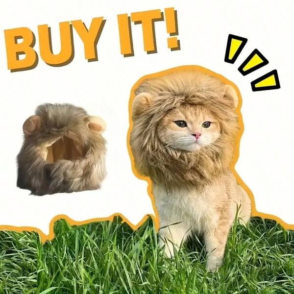[Internet Celebrity Pet Style] Pet Clip-On Wigs, Cat & Dog Hair Accessories, Birthday Party Photo Prop, Painless And Safe Clip + Breathable Faux Fur Material (Suitable For Poodle & Teddy), Cute Cat & Dog Clip-On Wigs - Easy To Use, Fluffy Black Design, Ideal For Dress-Up And Photo Shoots, Wig Accessory