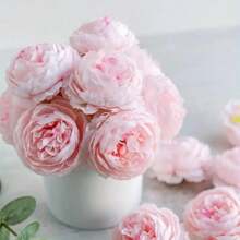 6/24 Pcs Artificial Peony Flowers For DIY Crafts, Wedding Decor, And Home Decor, Plastic Peony Flower Heads For Rome Decor, Garden Decor And Bedroom Decor, Perfect For Vases, Centerpieces, Wedding Party Decor And Graduation Decorations