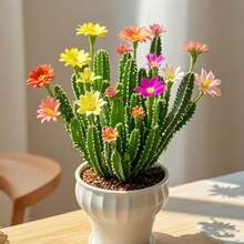 50 Cactus Seed Combination, Mixed Cactus Species, 1. Colorful Cactus, Delicious Fruits, Colorful Flowers, Drought Resistant, Suitable For Desert Garden Or Windowsill Outdoor Planting Flower Plants Gardening Nature