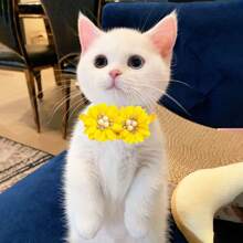 6pcs/8pcs Random Color Pet Flower Bow Tie Collar, Classic Double Flower Pearlescent & Rhinestone Decor Adjustable Neck Collar For Small/Medium Pets