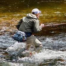Jaula de Pescado de Alambre Portátil, Cesta de Pescado Plegable para Exteriores, Cesta de Camarones, Red de Pesca, Cubo de Pescado, Red de Pesca Duradera, Accesorios de Pesca - Dorado - Ver 6