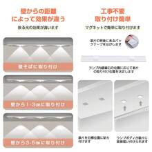 Headlight Bulbs
