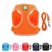 1 件套全新舒适宠物狗背带套装，带反光条，透气网眼胸带，带牵引绳，适合户外散步，多种颜色和尺寸，适合狗和猫 - 彩色 - 查看 3